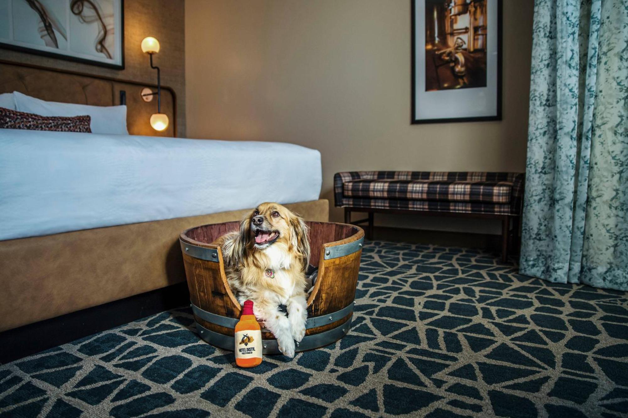 Distil, Autograph Collection Hotel Louisville